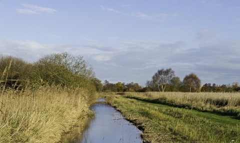 Woodwalton Fen on a winters day with a clear blue sky