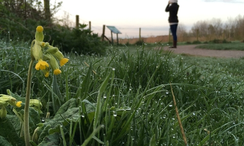 idle valley nature reserve