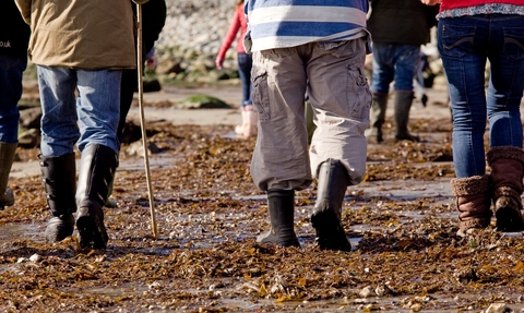 shore search volunteers