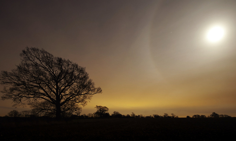 An image of the supermoon over a tree and creating an orange sky