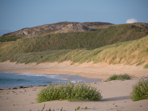 How Sand Dunes Work