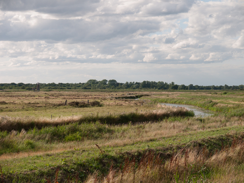 Types of Fens