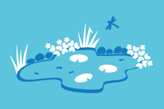 How to build a pond | The Wildlife Trusts
