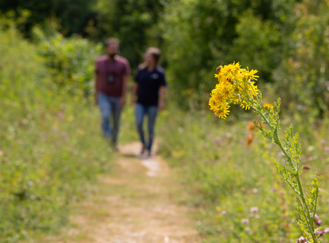 Jobs | The Wildlife Trusts