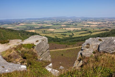 Donate to Secure The Rothbury Estate | The Wildlife Trusts