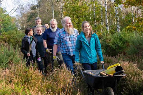 Wild Work Days | The Wildlife Trusts