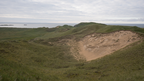 Birds of Prey on the Dunes - Dynamic Dunescapes