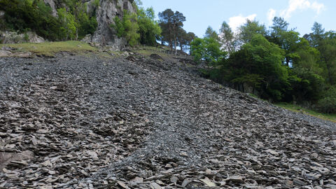 Rocky habitat | The Wildlife Trusts