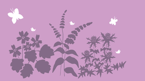 The Best Plants For Bees And Pollinators The Wildlife Trusts