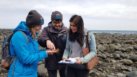 Volunteers taking part in Shoresearch