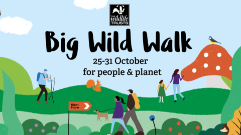 Big Wild Walk 2021 - Web banner