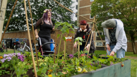 community food gardening 3 people tending to a raised flower bed