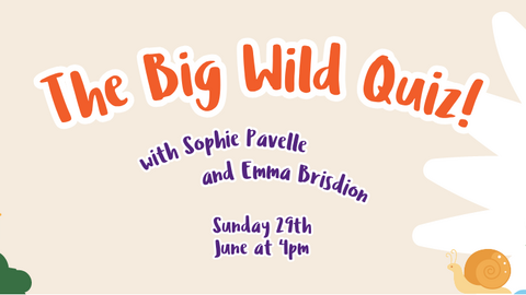 Big Wild Quiz header