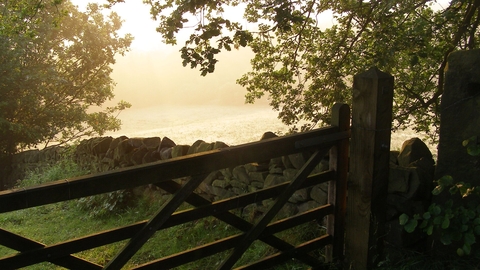 Field and gate