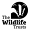 The Wildlife Trusts logo