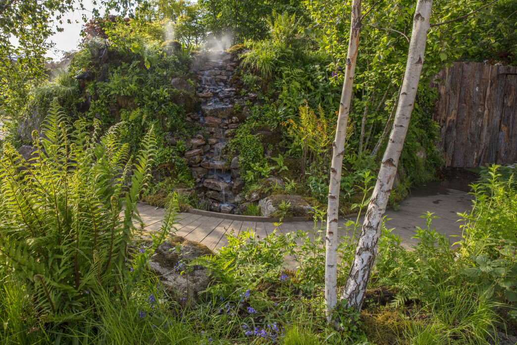 RHS Chelsea Flower Show 2025 - British Rainforest Garden | The Wildlife ...