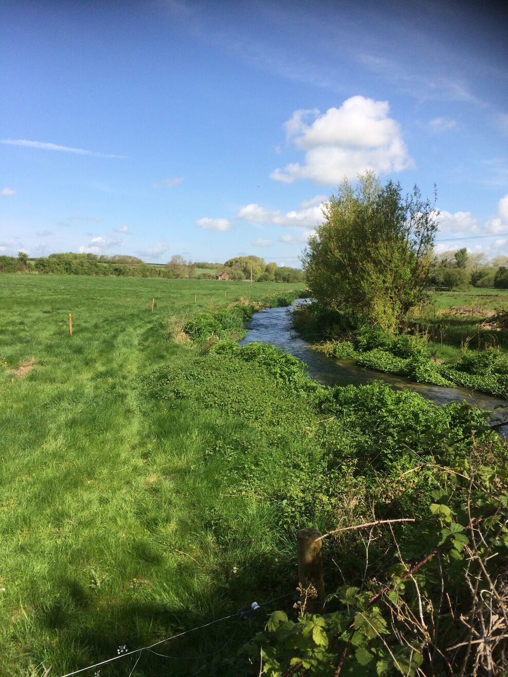 Putting nature back into our countryside | The Wildlife Trusts
