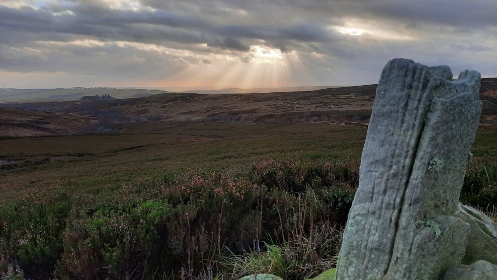 8 days to raise £80,000 – and double it – for flagship UK nature ...
