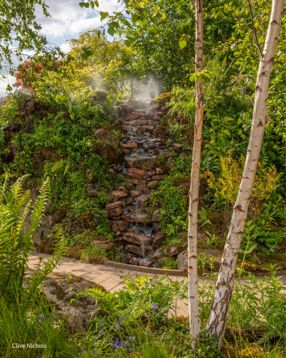 Magical British rainforest garden wins the public vote! | The Wildlife ...
