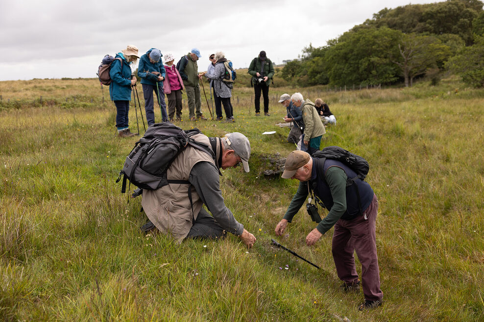 Sir David Attenborough champions landmark Rothbury Appeal to raise £30m ...