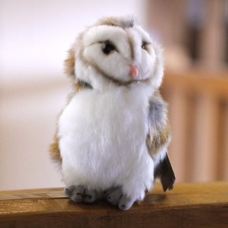 Adopt an Owl Kent