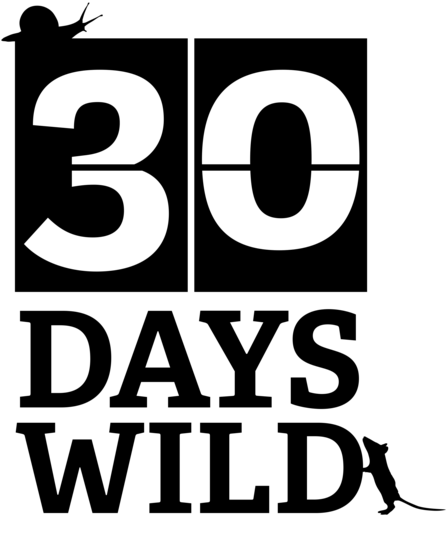 30 Days Wild