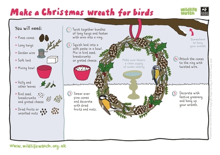Make a Christmas wreath for birds