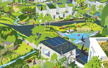 Homes for people and wildlife