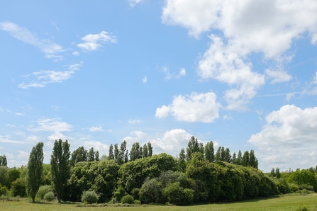 Lodge Hill Greg Hitchcock - Kent Wildlife Trust