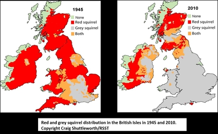 Red and Grey Squirrel Distribution