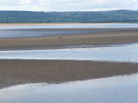Severn Karen Lloyd