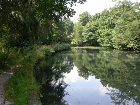 Brookfields Pond Derbyshire (c) Philip Precey