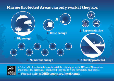 Marine protected areas