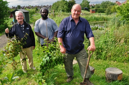 Framfield Allotments (c) Cairis Hickey