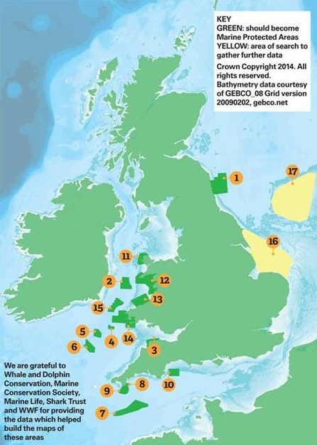 Megafauna hotspot map