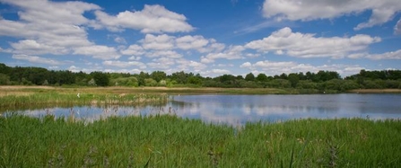 Potteric Carr flood waters (c) Matthew Roberts