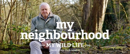 David Attenborough My Wild Life