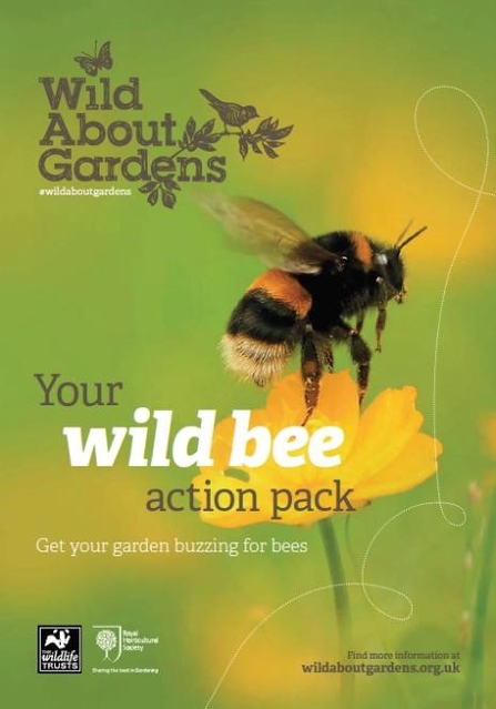 Wild About Gardens Bee Action Pack