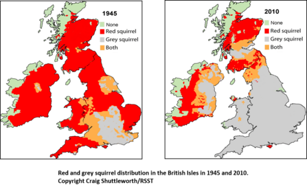 Red Fox Population Chart