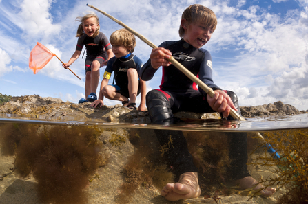 Image result for cullercoats rock pool wildlife