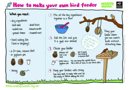 How to make a bird feeder