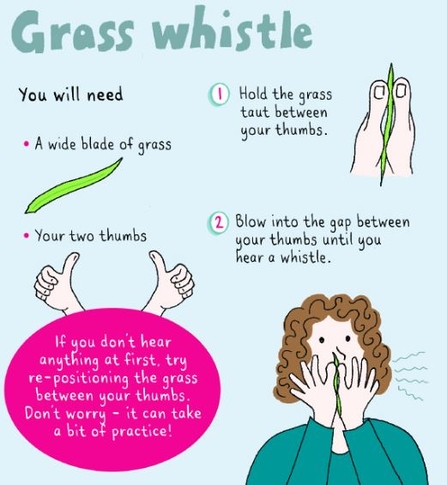 Grass Whistle© Corinne Welch