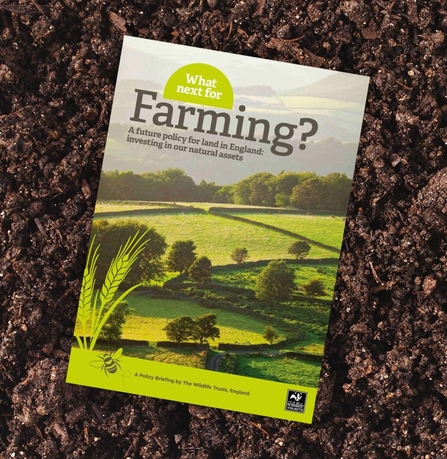 What next for Farming? report