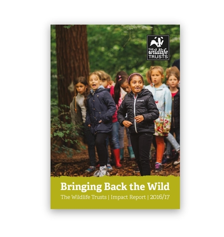 2016-17 Impact Report The Wildlife Trusts