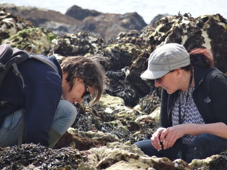 Heritage Lottery Fund