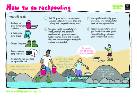 Rockpooling