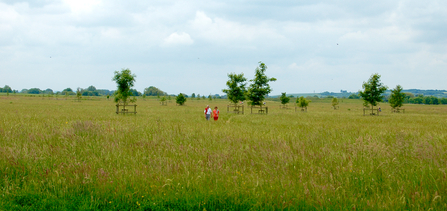 Trumpington Meadows nature reserve