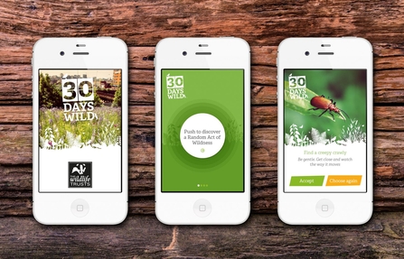 30 Days Wild App