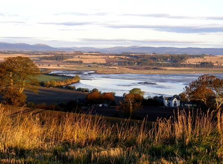 Montrose Basin