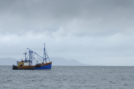 Scallop dredger (Chris Gomersall)